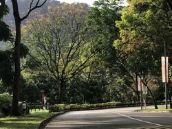 Hume Park I (D21), Condominium #582583071